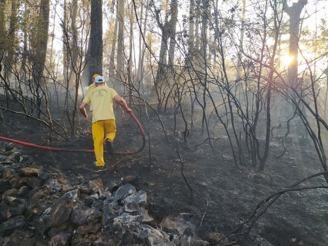 Mangaldan Çıkan Yangın 7 Hektarlık Ormanlık Alanı Yok Etti