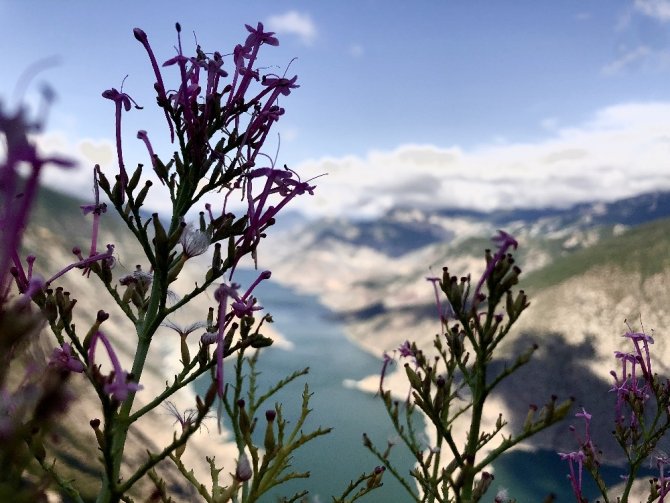 Çoruh Nehrinin Etkileyici Görünümü