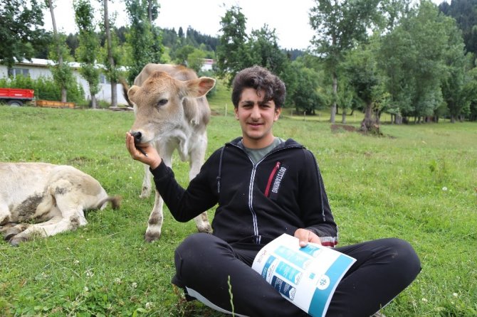 Hem Çobanlık Yapıyor Hem Ders Çalıyor