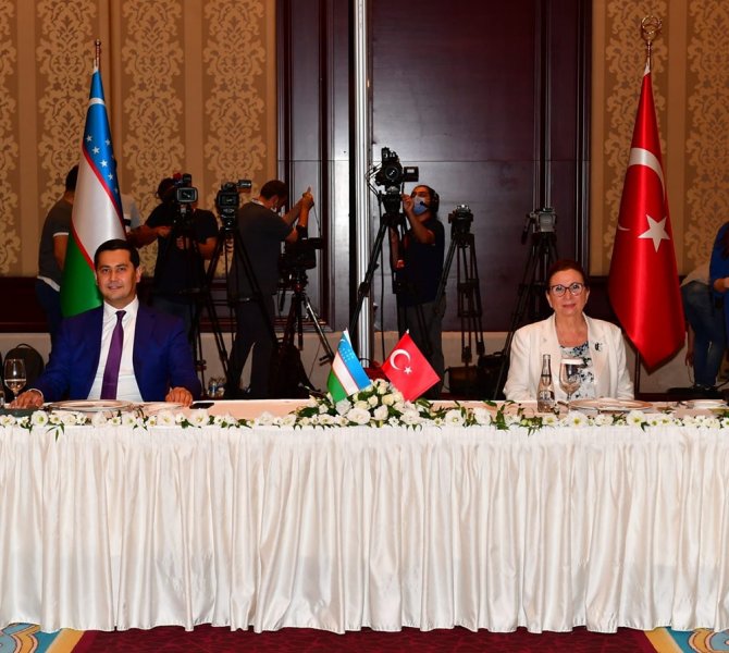 ”Türkiye Oecd Ve G20 Ülkeleri Arasında En Hızlı Büyüyen Ülke Konumundadır”