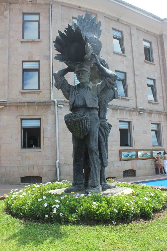 Giresunlular Önümüzdeki Şubat Ve Mart Aylarında Fındık Fiyatların 30 Liraya Kadar Çıkabileceğini Düşünüyor