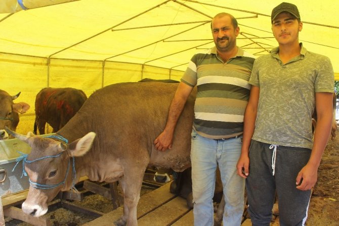 Giresun’da Kurban Pazarında Arefe Günü Sessizliği