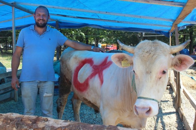 Giresun’da Kurban Pazarında Arefe Günü Sessizliği