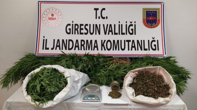 Giresun’da Uyuşturucu Madde Ticareti Yapan 2 Kişi Tutuklandı