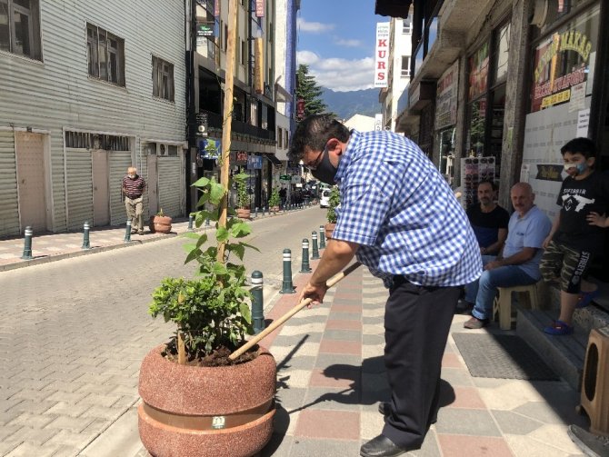 Artvin’de Bir Grup Esnaf Cadde Üzerindeki Çiçekliklere Domates Ekti