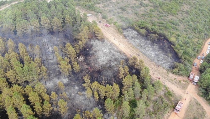 İstanbul’da Aydos Ormanı’nda Çıkan Yangın Kontrol Altına Alındı