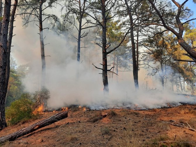 Manavgat’ta Aynı Saatlerde Dört Ayrı Noktada Orman Yangını