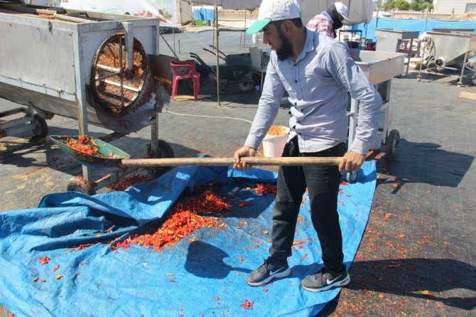 Şanlıurfa İsotunun Acı Telaşı Başladı