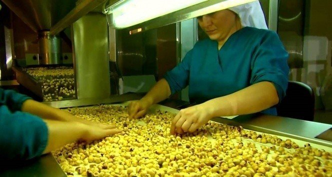 Fındık İhracatında Tüm Zamanların Rekoru Kırıldı