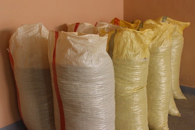 2020 Ürünü Fındık 22 Liradan Pazara İndi