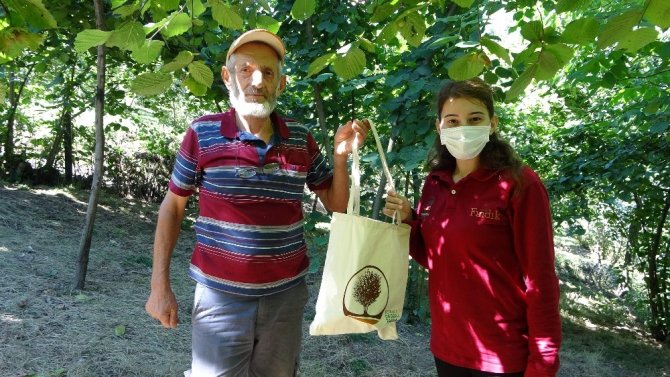 Korona Virüs Vakaları Artınca Fındık Bahçelerindeki Tedbirler De Arttırıldı