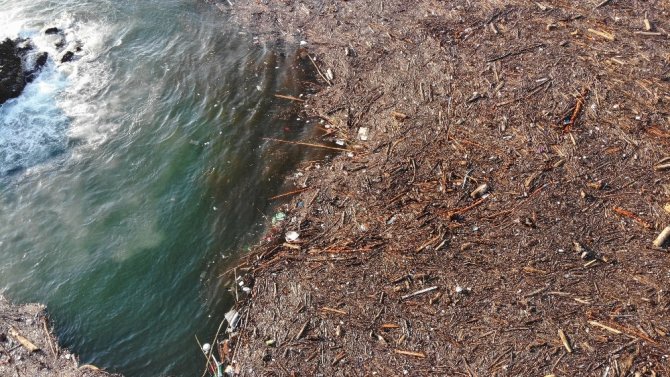 Selin Sürüklediği Ağaçlar Deniz Yüzeyini Kapladı