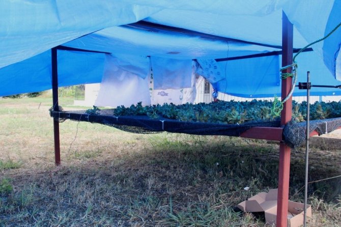 Fındık İçin Borsa-üniversite İşbirliği