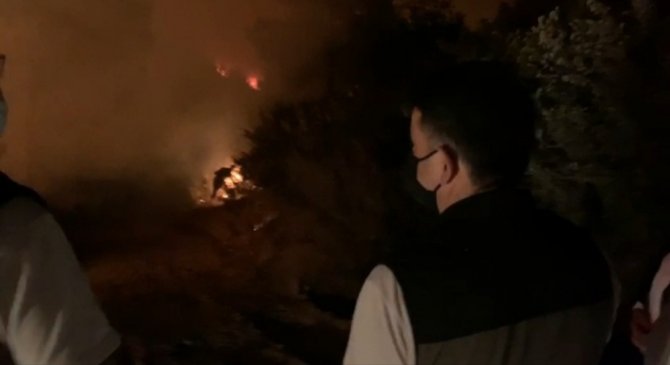 Bakan Pakdemirli, Yanan Alanları İnceledi