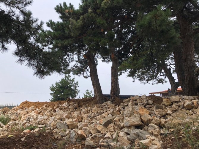 Uludağ’ı Böyle Katlediyorlar