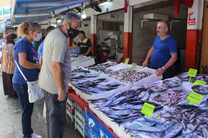 Palamut Büyüdükçe Fiyatı Da Artıyor
