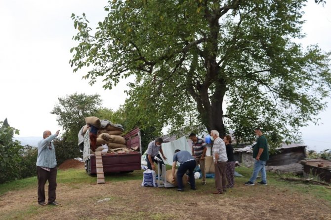 Fiskobirlik Fındık Alımlarına Devam Ediyor