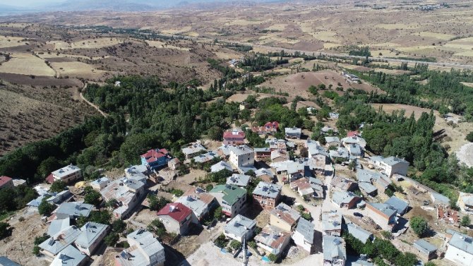 Aç Gözlü Ayı Güvenlik Kamerasına Yakalandı