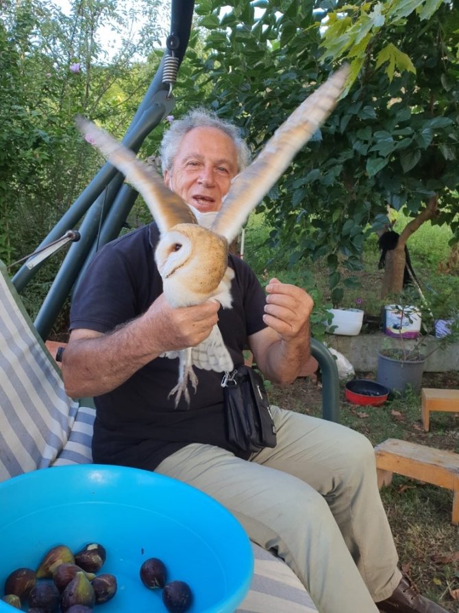Dedelerinin Evinde Buldukları Bitkin Haldeki Peçeli Baykuş’u Besleyip Doğaya Bıraktılar