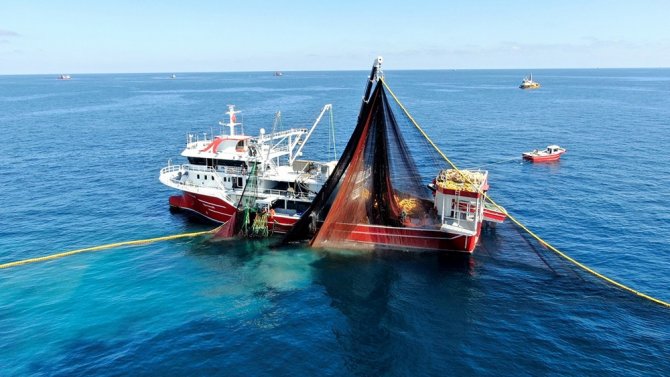 Karadeniz’de Palamut Bereketi
