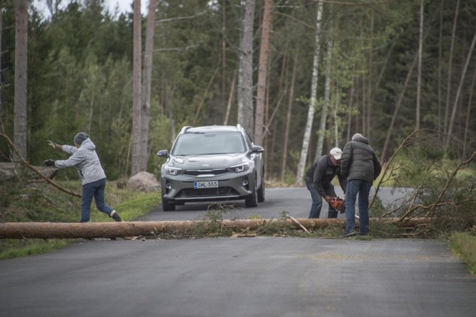 Finlandiya’da Aila Fırtınası 80 Bin Haneyi Elektriksiz Bıraktı