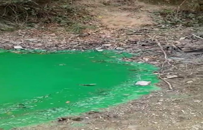 Sultangazi’de Baraj Suyu Yeşile Döndü