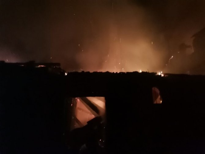 Artvin’in Yusufeli İlçesinde Yangın