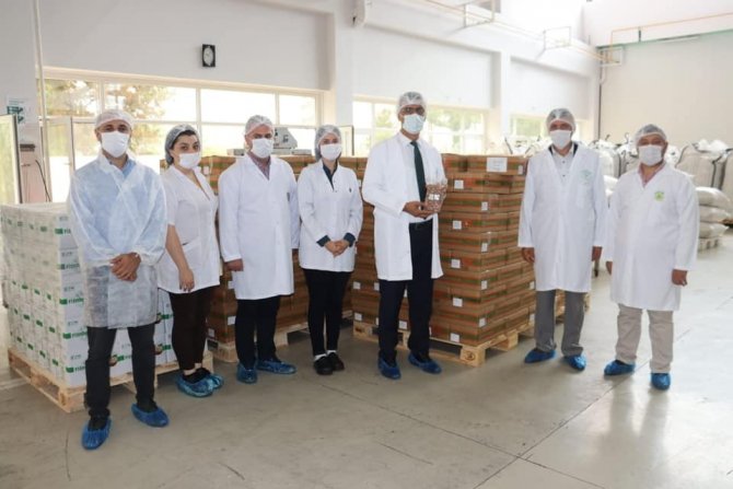 Fındık Tarım Satış Kooperatifleri Birliği’nin (Fiskobirlik) İhracat Ve Üretim Kapasitesi Artıyor