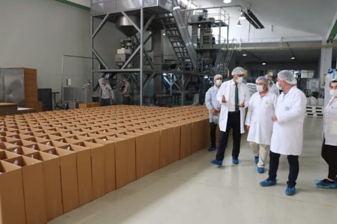 Fındık Tarım Satış Kooperatifleri Birliği’nin (Fiskobirlik) İhracat Ve Üretim Kapasitesi Artıyor