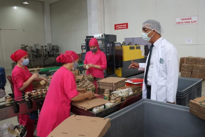 Fındık Tarım Satış Kooperatifleri Birliği’nin (Fiskobirlik) İhracat Ve Üretim Kapasitesi Artıyor