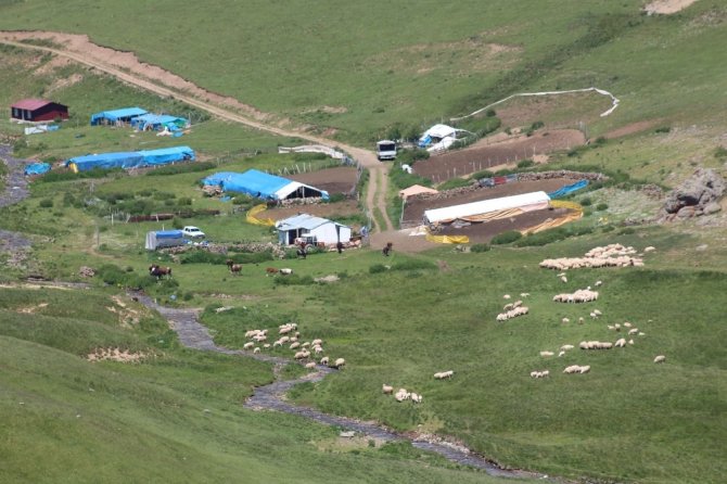 Yaylacılık Kültürünü Araştırıyorlar
