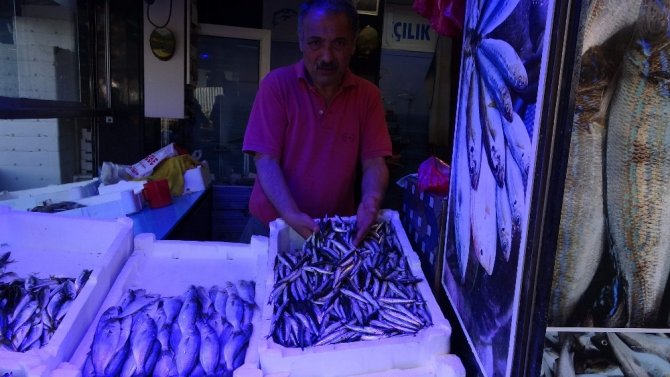 Trabzon’da Hamsi Tezgâhtaki Yerini Aldı