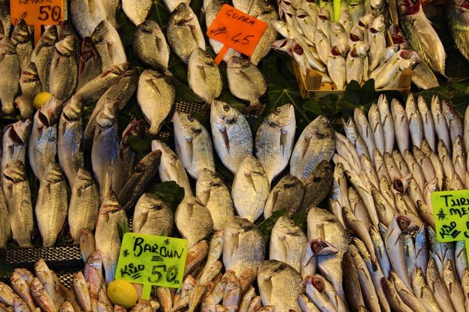 Hamsinin Fiyatı Dudak Uçuklatan Cinsten