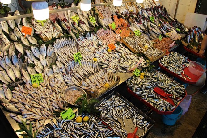 Hamsinin Fiyatı Dudak Uçuklatan Cinsten