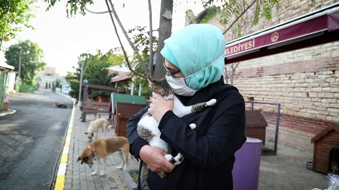 Emine Erdoğan, Barınaktaki ’Leblebi’ İsimli Engelli Köpeği Sahiplendi