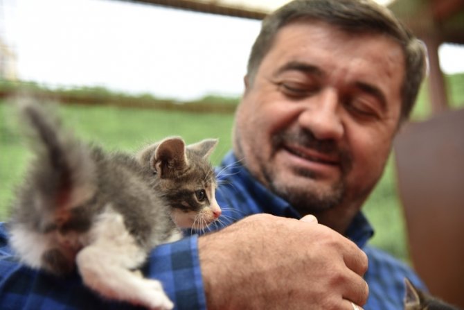 Giresun Belediyesi Hayvan Barınağı, Sokak Hayvanlarına Güvenli Bir Barınak Oluyor