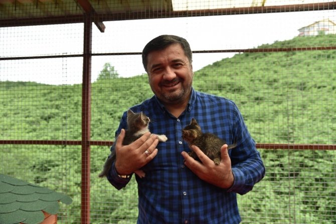 Giresun Belediyesi Hayvan Barınağı, Sokak Hayvanlarına Güvenli Bir Barınak Oluyor