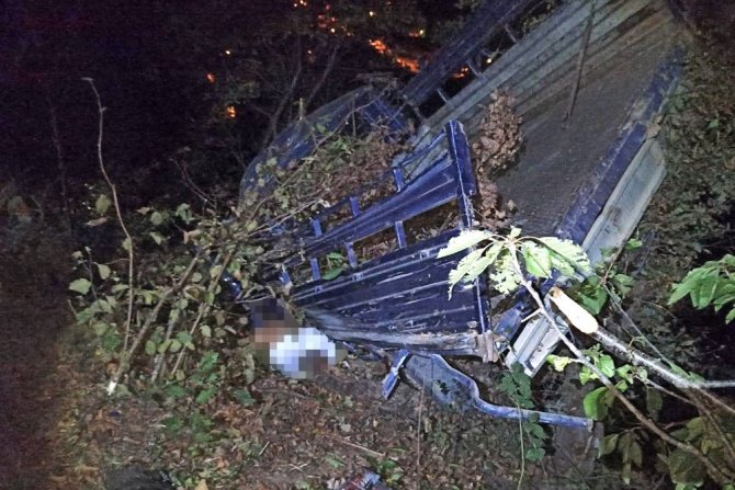 Kamyonet Uçuruma Yuvarlandı: 1 Ölü, 2 Yaralı