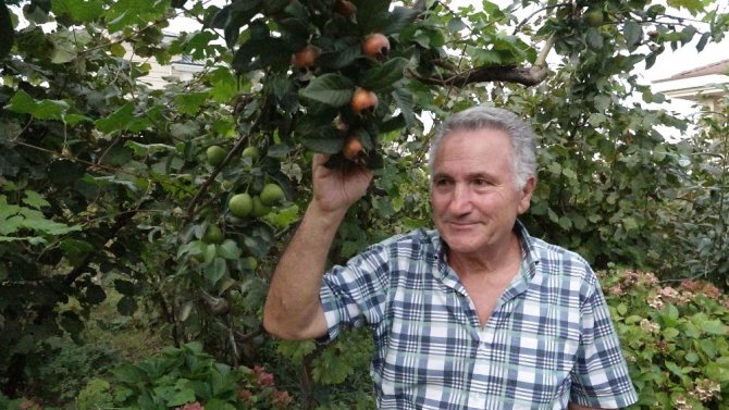 Ayva Ağacında Ayvadan Başka Her Meyve Var