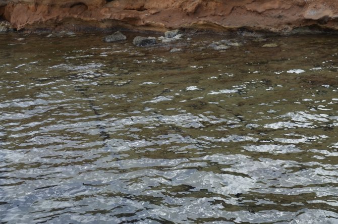 Didim’de Deniz Altında Binlerce Yıllık Kalıntı Heyecanı