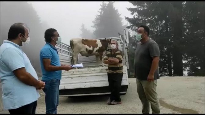 Giresunlu Hayvan Yetiştiricilerinin Kayıpları Karşılandı