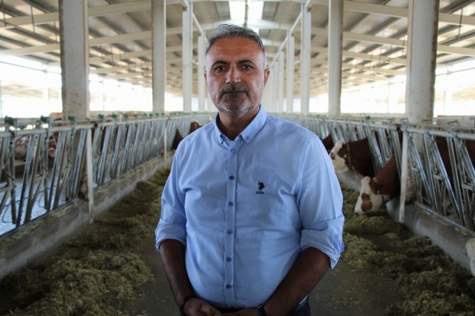 Gurbeteyken Tarım Ve Hayvancılık İçin Türkiye’ye Döndü