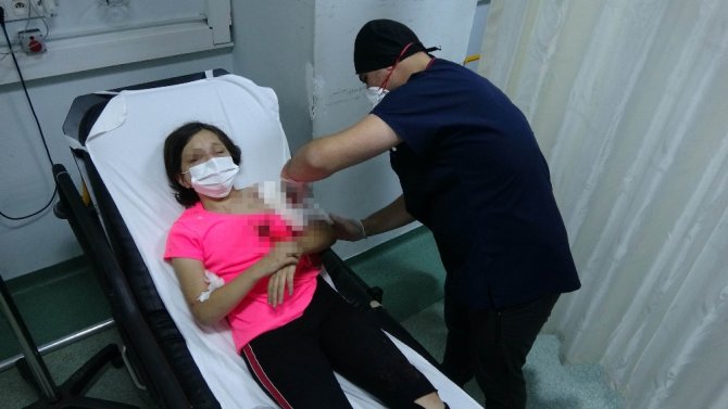 Samsun’da Pitbull Dehşeti: 11 Yaşındaki Kız Çocuğu Kanlar İçerisinde Kaldı