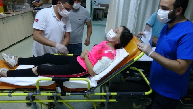 Samsun’da Pitbull Dehşeti: 11 Yaşındaki Kız Çocuğu Kanlar İçerisinde Kaldı