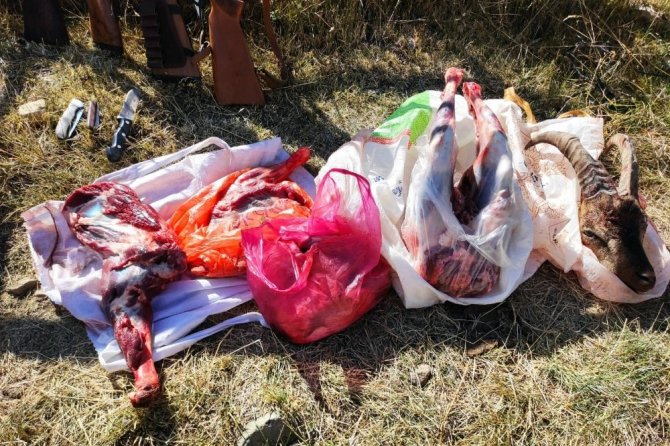 Gümüşhane’de Tabiat Parkı İçinde Yaban Keçisi Avlayanlar Suçüstü Yakalandı