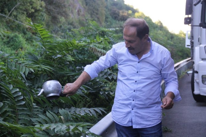 Türkiye’nin Gürcistan’a Açılan Kapısı Sarp’taki Tır Kuyruğu Havadan Görüntülendi