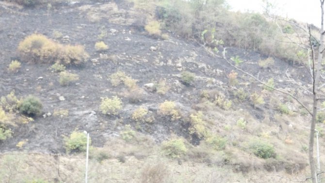 Trabzon’daki Örtü Yangını