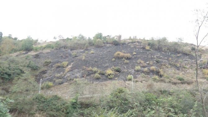 Trabzon’daki Örtü Yangını