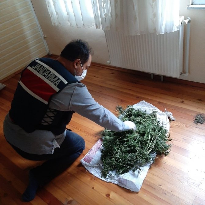 Artvin’de Uyuşturucu Operasyonunda 1 Kişi Tutuklandı