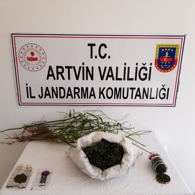 Artvin’de Uyuşturucu Operasyonunda 1 Kişi Tutuklandı